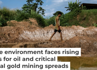 Open pit gold mines have spread across large areas of the Orinoco Mining Belt in recent years. Magda Gibelli / AFP via Getty Images